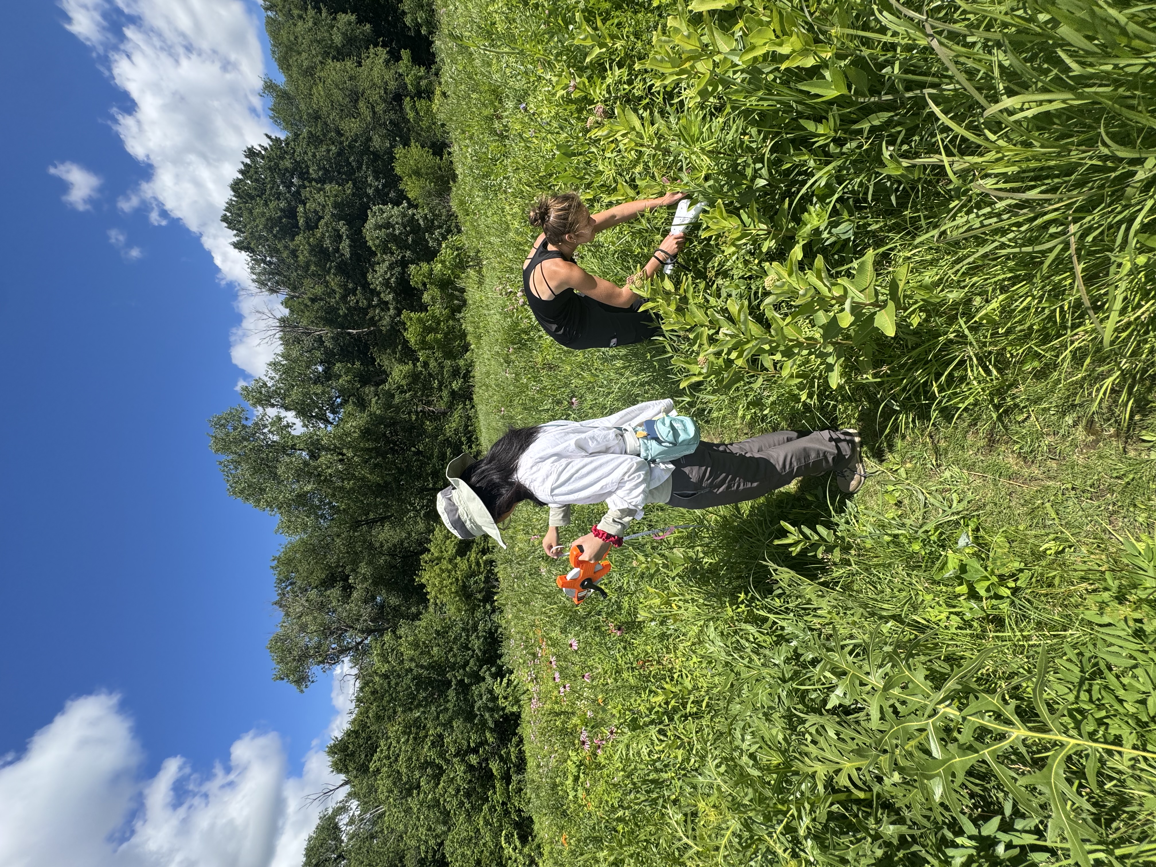 Collecting data in a Madison prairie
